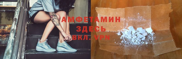 крисы Алексин