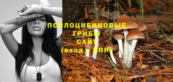 apvp Алексеевка