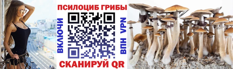 нарко площадка как зайти  Данков  Псилоцибиновые грибы GOLDEN TEACHER 
